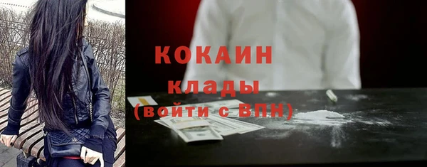 твердый Лиски