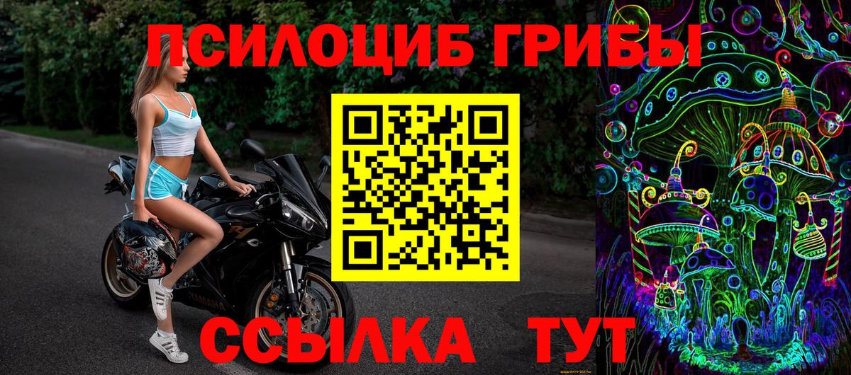 Псилоцибиновые грибы мицелий  Вход с VPN  Южноуральск  купить наркоту  Галлюциногенные грибы Cubensis 