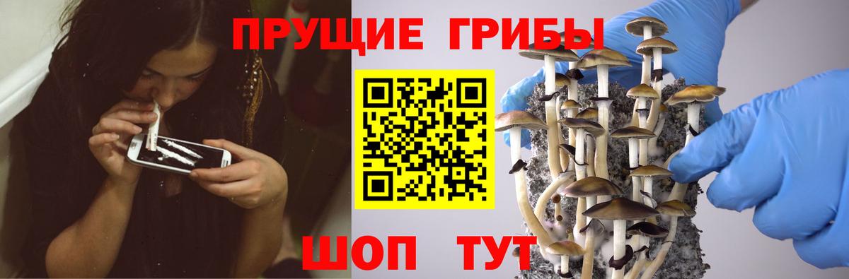 Псилоцибиновые грибы Cubensis Южноуральск